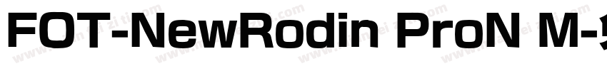 FOT-NewRodin ProN M字体转换